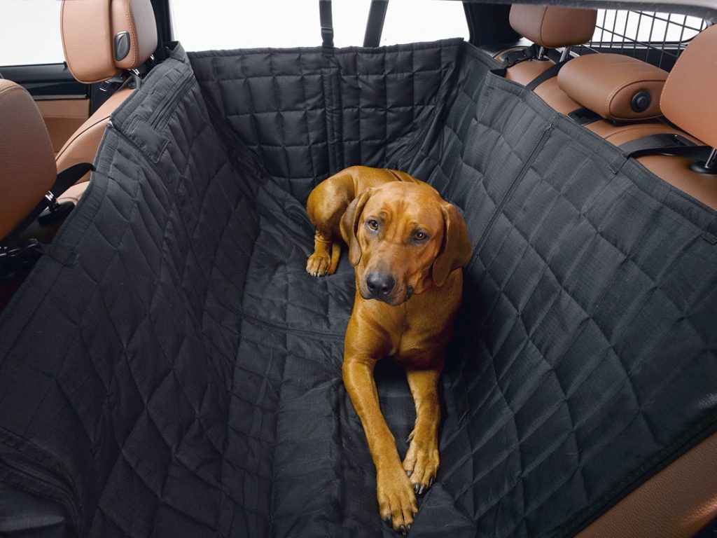 Brauner Hund auf schwarzer Hundeschondecke im SUV-Heck mit beigem Lederinterieur